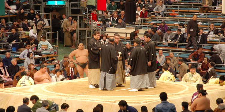 Glossary Of Sumo Terms