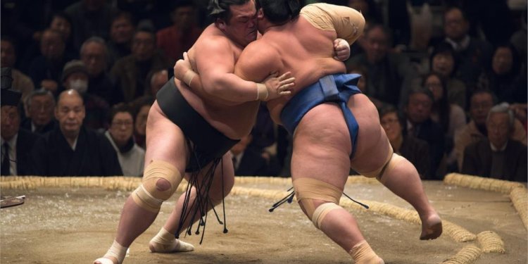 Wrestling sumo Japanese sports