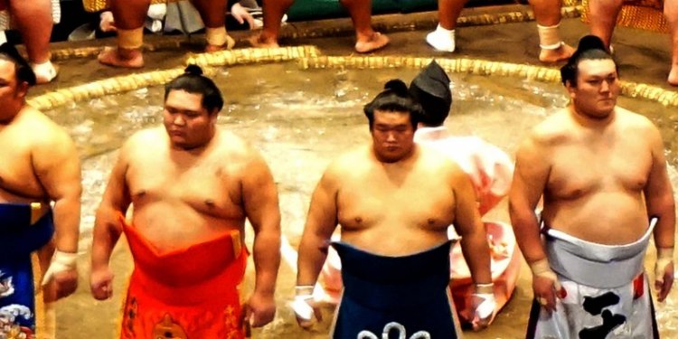 Sumo