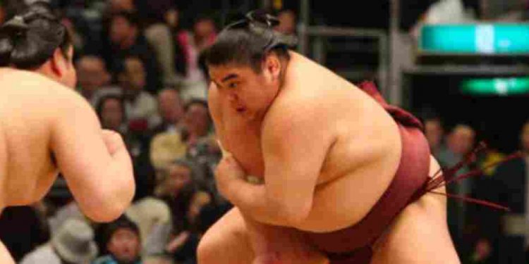 Jan 29th, Sumo Wrestler