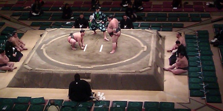 Tips for Watching Sumo in