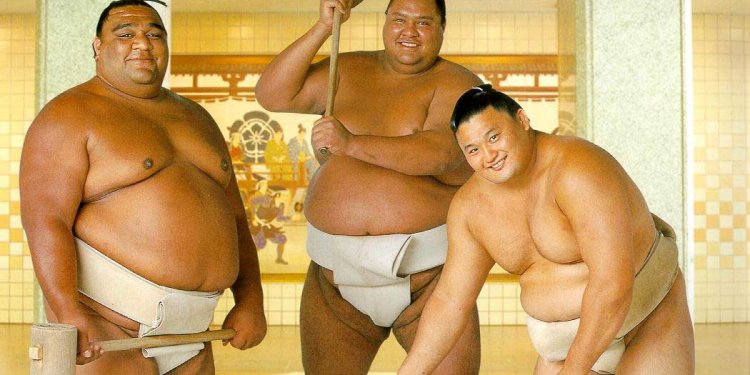 Sumo wrestling facts