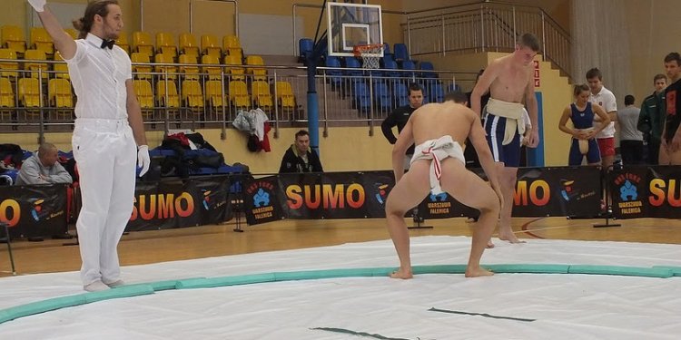 Wrestling Sumo