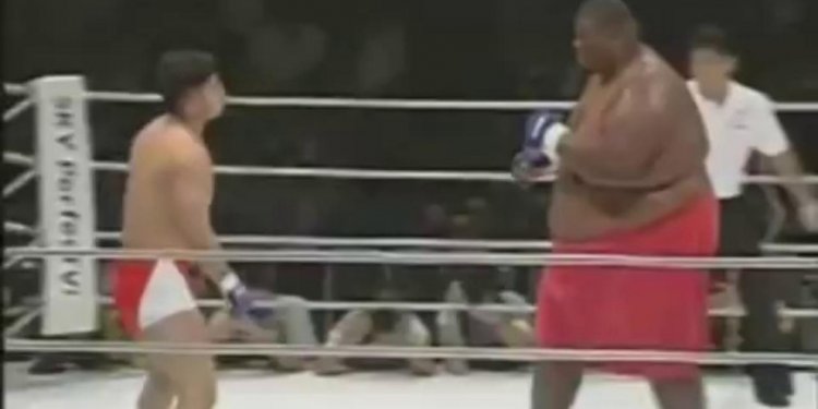 Sumo VS boxer