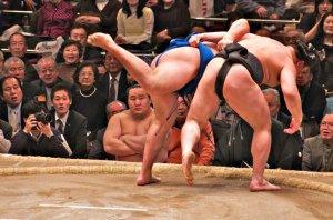 how exactly to Watch Sumo in Tokyo with Kids