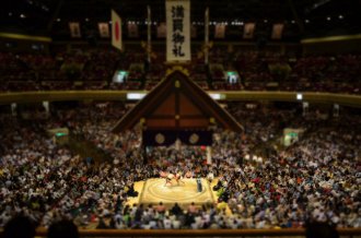just how to Watch Sumo in Tokyo with teenagers