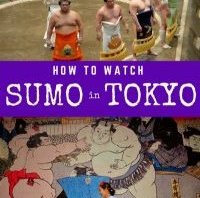 how exactly to view Sumo in Tokyo with toddlers PIN