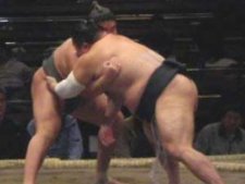 Junior sumo wrestlers start a bout.