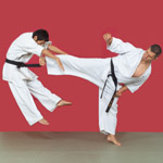 Learn 3 Kyokushin Karate Kicks From Kenji Yamaki