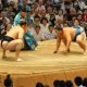 Japanese sumo Association