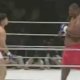 Sumo VS boxer