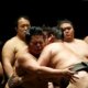 Sumo wrestlers Japan