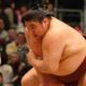 Sumo Wrestlers Training