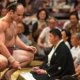 Sumo wrestling PICS