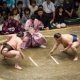 Tokyo Sumo wrestling Tournament