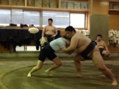 sumo.JPG