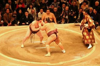 Sumo