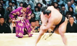 Sumo