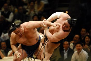 Sumo Fighting