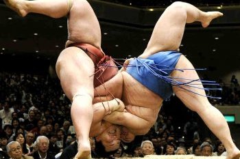 Sumo Fighting2