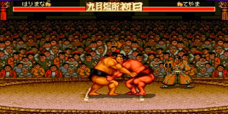 Sumo wrestling Video game