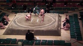 sumo match tokyo japan
