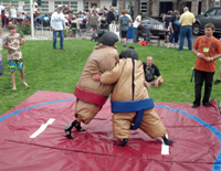 sumo suit