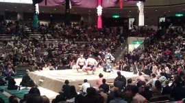sumo competition tokyo japan
