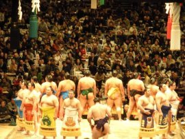 sumo event tokyo japan