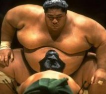 Sumo Wrestler