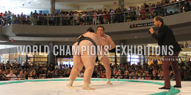 Sumo wrestling Schedule