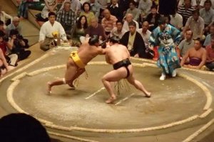 Sumo Wrestling in Tokyo