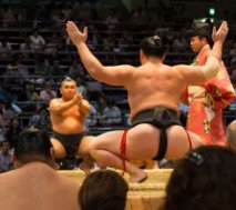 Sumo Wrestling Japan