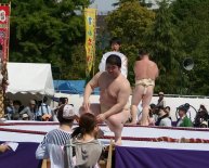 Baby sumo wrestlers