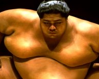 Biggest Sumo