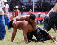 Gay Sumo wrestling