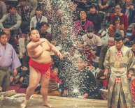 History sumo wrestling Japanese culture