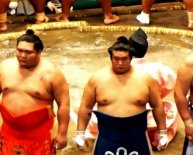 Images of sumo wrestlers