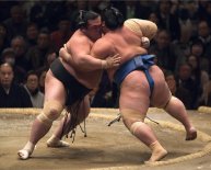 Japanese female sumo wrestlers