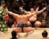 Japanese sumo wrestling facts