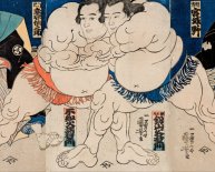 Origins Sumo