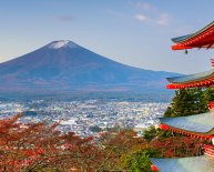 Shinto Shrine Washington