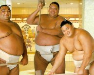Sumo history Facts