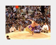 Sumo Show Tokyo