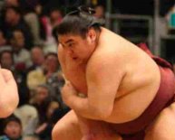 Sumo Wrestlers Training