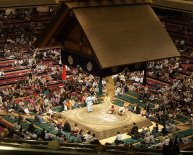 Sumo wrestling in Tokyo