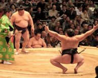 Sumo wrestling Osaka
