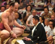 Sumo wrestling PICS