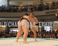 Sumo wrestling Schedule