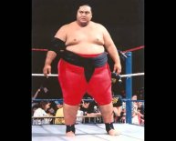 Yokozuna theme song